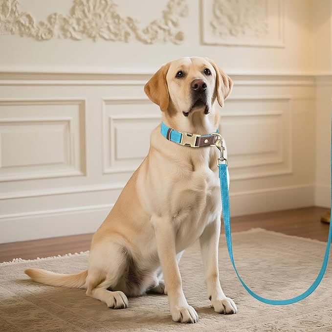 Didog Soft PU Leather Dog Collar for Large Dogs,Classic Adjustable Dog Collars with Quick Release Metal Buckle,Easy Clean and Comfortable with Nylon Lining,Light Blue,L Neck 15-23"