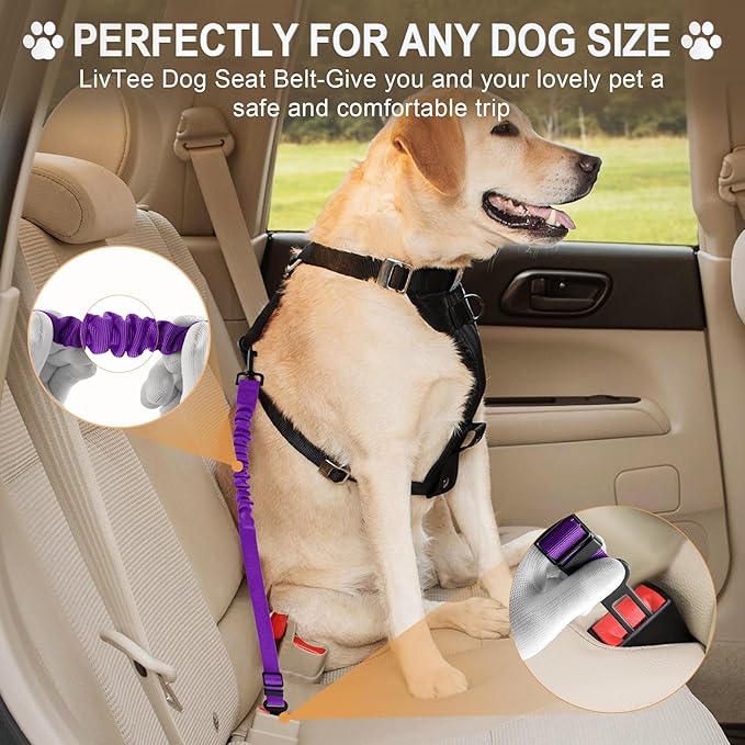 LivTee Dog Seat Belt for Car, Retractable Pet Safety Harness, Adjustable Nylon Dog Seatbelt Leash, Comfortable Dog Accessories for Vehicles (Purple-1PCS)