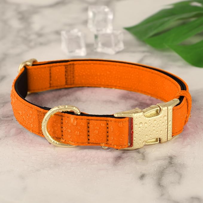 Didog Soft Padded Dog Collars for Medium Dogs, Colorful and Durable Dog Collar with Quick Release Buckle, Light and Breathable for Daily Walking, Orange, M
