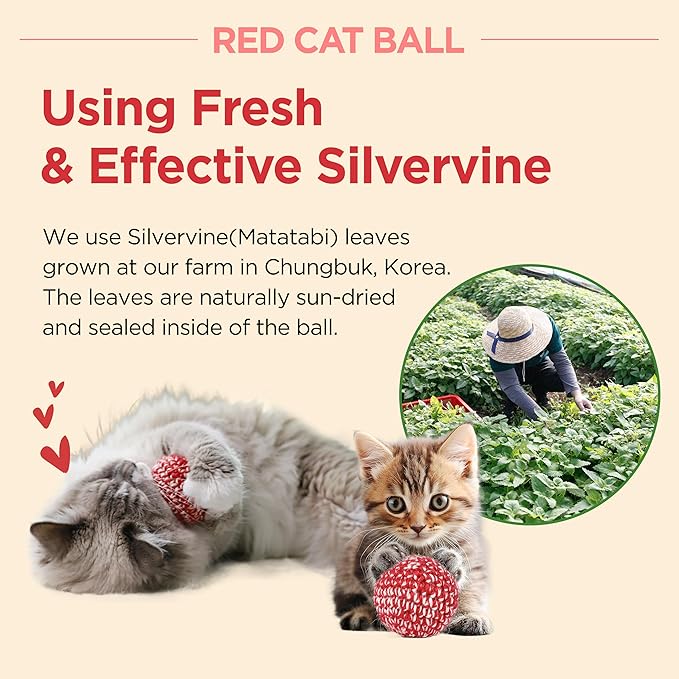JAYU PET Red Cat Ball [W/O Bell Version] - Handmade Silvervine Cat Toy with Catnip, Interactive Matatabi Ball for Indoor Cats & Kittens, Feline Play Toy & Gift (2.7 inch)