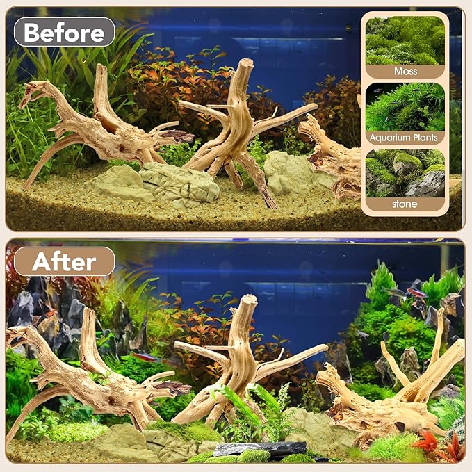 Natural Large Spiderwood Driftwood for Aquarium Decor Rptile Fish Tank Decoration Assort Branch 7-11'' 3 Pcs