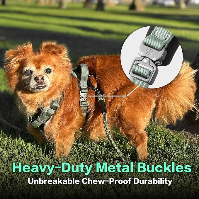 CLEPAWS Dog Harness for Medium Dogs, No Pull Dog Harness Easy Walk with Metal Hardware, Ergonomic Y-Shaped Design, Soft Padding, Padded Handle, Durable High-Tensile Nylon (Seabreeze, M)