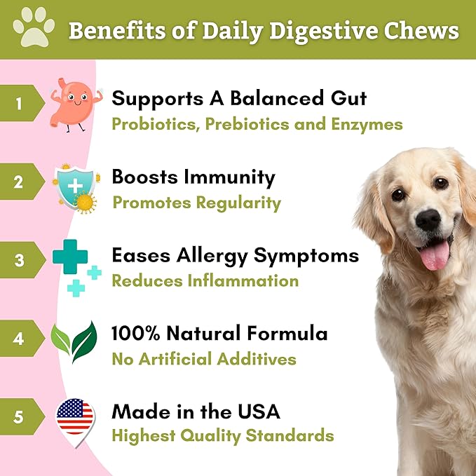 Wholistic Pet Organics:Dog Probiotics and Digestive Enzymes-Probiotic Chews for Dogs Digestive Health,Support Gut Health Immune Supplement Prevents Dog Digestive Problems (Original, 120 Count)