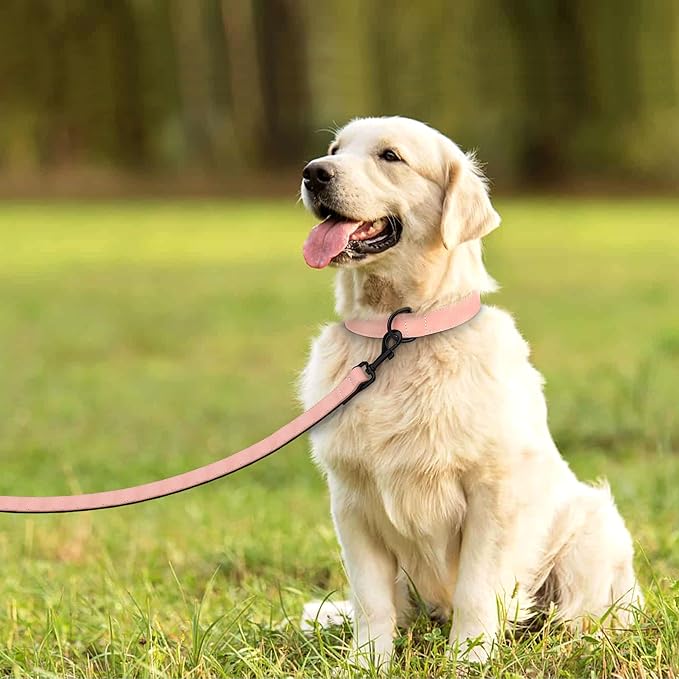 Didog Soft Padded Leather Dog Collar and Leash Set, Adjustable Pink and Breathable Pet Collars with 4FT PU Leather Dog Leash for Small Medium Large Dogs, Pink, L