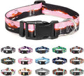 Mercano Adjustable Dog Collar - Special Design Patterns, Soft Nylon Comfortable Durable Pet Collar for Small Medium Large Dogs (XS, Sunset)