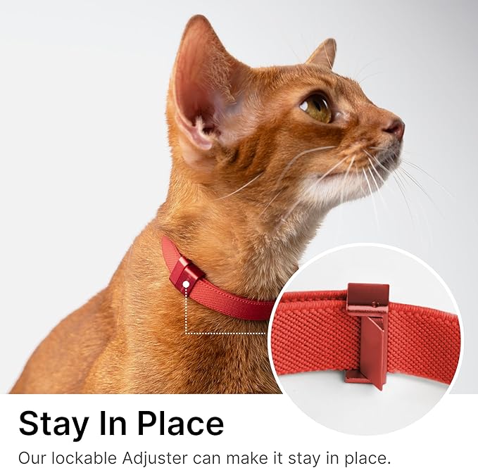 Safety Cat Collar Pro - U.S. IDA Gold Awarding Design, Elastic Quick Release Cat Collar with Buckle Non Breakaway - Lightweight for Kitten All Small Large Cats (Glacier Silver, M 7.9-15.7")