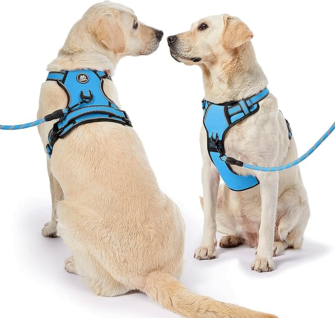 NESTROAD No Pull Dog Harness,Adjustable Oxford Dog Vest Harness with Leash,Reflective No-Choke Pet Harness with Easy Control Soft Handle for Small Dogs(X-Small,Blue)