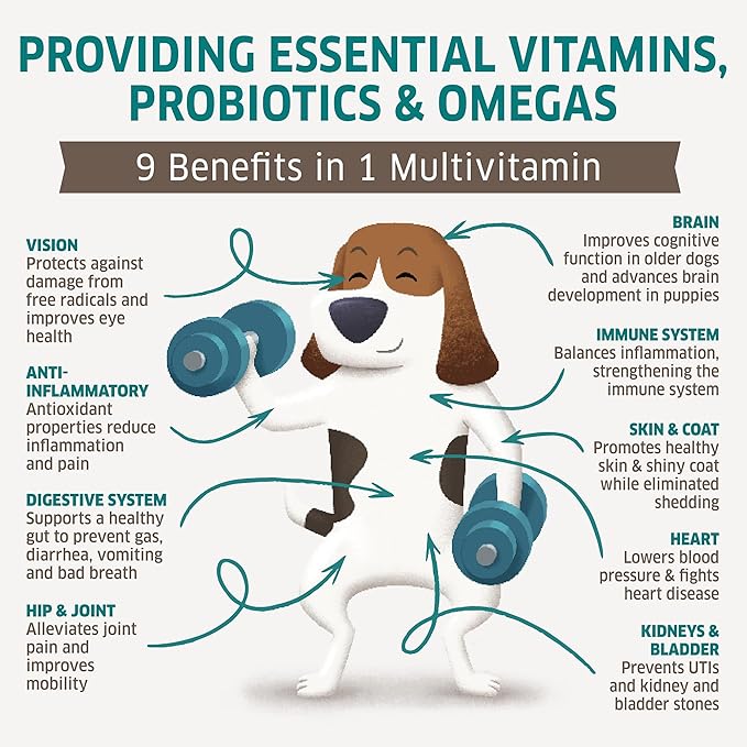 Dog Multivitamin - Dog Vitamins and Supplements - Digestive Enzymes & Probiotics - Probiotics for Dogs - for Skin and Coat Allergies - Immune System & Overall Health - 120 Soft Chew Dog Treats