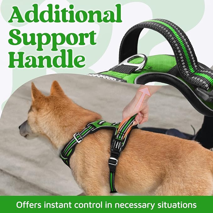 rabbitgoo Dog Harness for Large Dogs, No Pull Pet Vest with 3 Buckles, Adjustable Soft Padded Pet Harness with Easy Control Handle and Reflective Strips, Green, L
