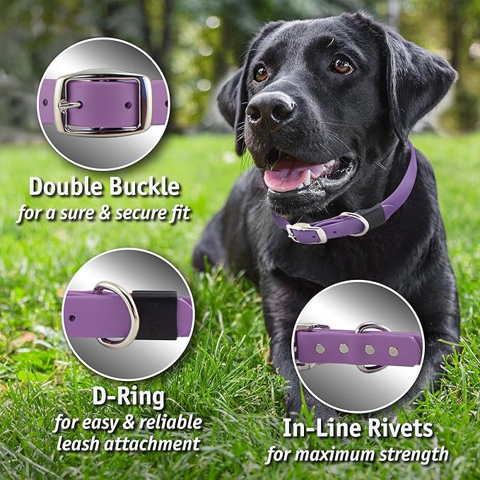 Biothane Custom Dog Collar – Waterproof, Stink-Proof Personalized Collar with Name & Phone Number – Durable, Many Sizes and Colors – Assembled in USA (Sky Blue)