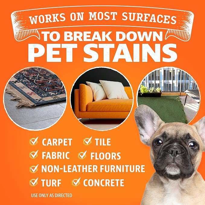 ANGRY ORANGE Pet Stain Remover Kit for Dog Urine - Enzyme Cleaner - Citrus - 32 oz + UV Flashlight