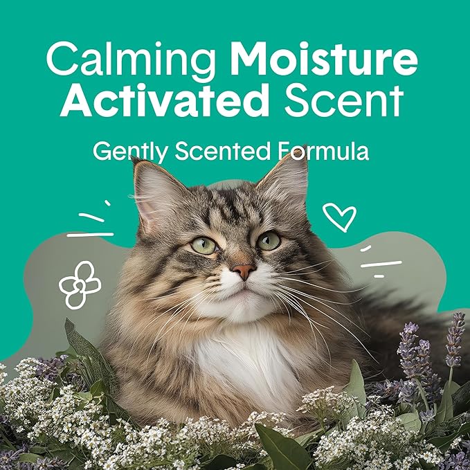 Boxiecat Gently Scented Premium Clumping Clay Cat Litter-16-Pounds