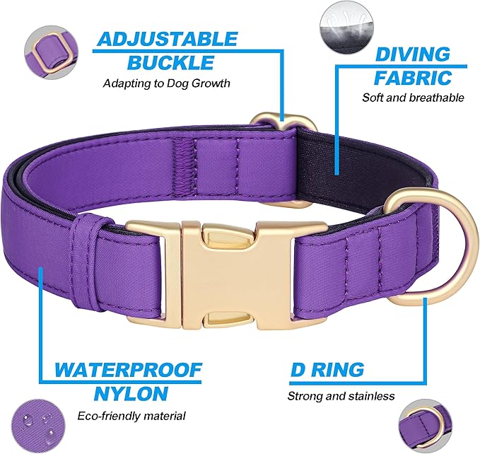 Didog Soft Padded Dog Collars for Medium Dogs, Colorful and Durable Dog Collar with Quick Release Buckle, Light and Breathable for Daily Walking, Purple, M