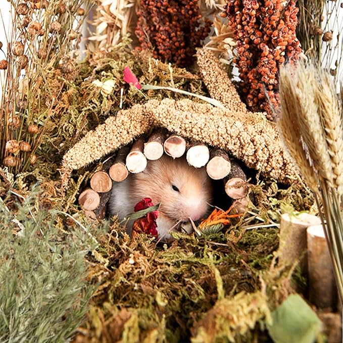 Natural Ear of Grain Flower&Herb Bedding Mate Habitat Decor, Adding Fun Hamster Accessories for Hamsters Gerbils Lemming