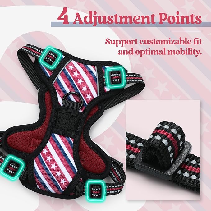 rabbitgoo Dog Harness No Pull with 2 Leash Clips, Adjustable Soft Padded, Reflective Oxford No Choke Pet Vest with Easy Control Handle for Large Dogs, Red Stripe, XS