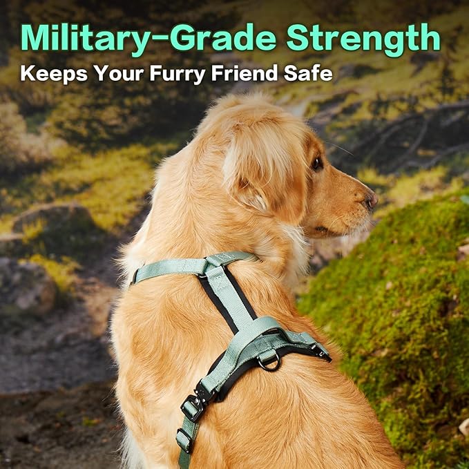 CLEPAWS Dog Harness for Large Dogs, No Pull Dog Harness Easy Walk with Metal Hardware, Ergonomic Y-Shaped Design, Soft Padding, Padded Handle, Durable High-Tensile Nylon (Seabreeze, L)