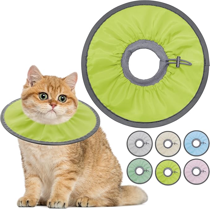 Lightweight Cat Cone Collar Soft, Soft Comfortable Cat Recovery Collar After Surgery, Elizabethan E Collar for Cats, Cone for Cats to Stop Licking (Water Green, Small)