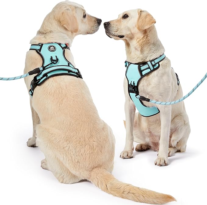 NESTROAD No Pull Dog Harness,Adjustable Oxford Dog Vest Harness with Leash,Reflective No-Choke Pet Harness with Easy Control Soft Handle for Medium Dogs(Medium,Turquoise)