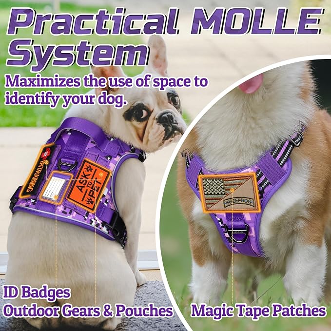 rabbitgoo Tactical Dog Harness Medium Sized Dog, No Pull Military Service Vest with Handle & Molle, Easy Control for Training Walking, Adjustable Reflective Straps, Purple Camo, M