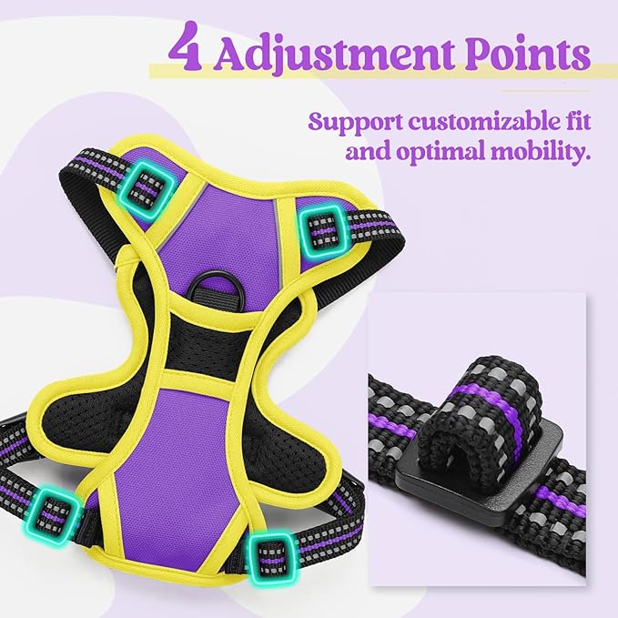 rabbitgoo Dog Harness No Pull with 2 Leash Clips, Adjustable Soft Padded, Reflective Oxford No Choke Pet Vest with Easy Control Handle for Puppy, Purple & Yellow, XS