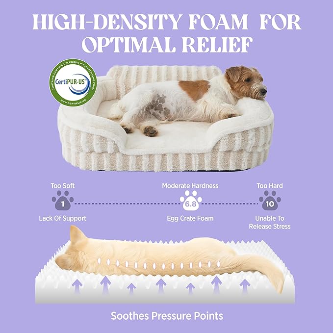 LE SURE Cute Dog Bed Medium Size Dog, Orthopedic Waterproof Medium Pet Beds with Sides, Non-Slip Bottom and Egg-Crate Foam Pet Couch Sofa with Washable Removable Cover, Beige