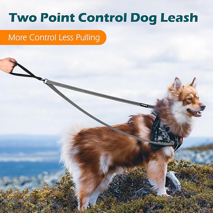 PetBonus Two Point Control Dog Leash, Works with No Pull Harnesses, No Tangle Dog Training Leashes, No Pull Padded and Reflective Walking Lead, Converts to Single Leash for Medium Large Dogs (Grey)