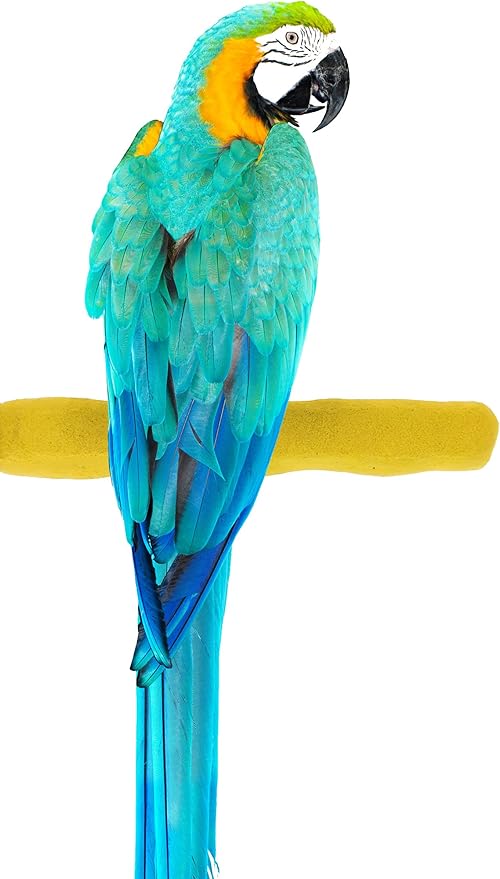 Comfort Grip Safety Perch for Bird Cages - Pedicure Perch for Birds to Keep Nails and Beaks in Top Condition - Safe Easy to Install Bird Cage Accessories- L 13"