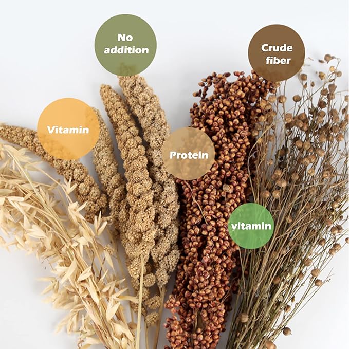 Natural Ear of Grain Flower&Herb Bedding Mate Habitat Decor, Adding Fun Hamster Accessories for Hamsters Gerbils Lemming