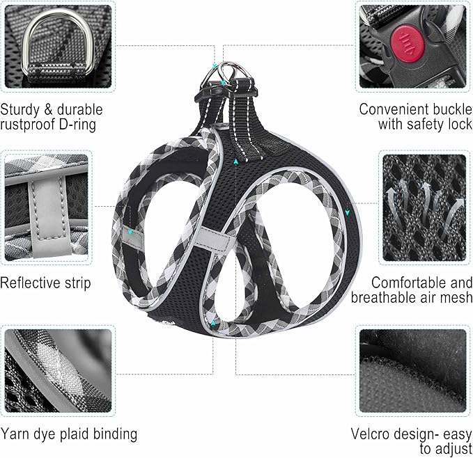 haapaw Dog Harness with Leash Set, No Pull Adjustable Reflective Step-in Puppy Harness with Thickened Padded Vest for Extra-Small/Small Medium Dogs