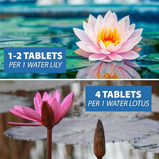 CrystalClear Thrive Aquatic Pond Plant Food, Fish Safe Water Garden Fertilizer, Nutrients Boost Lily & Lotus Flower Bloom & Root Growth, 30 Tablets