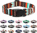 Mercano Adjustable Dog Collar - Special Design Patterns, Soft Nylon Comfortable Durable Pet Collar for Small Medium Large Dogs (M, Tribal Green)