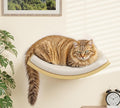 Wood Cat Wall Shelf with Soft Foam Cushion, Curved Cats Wall Bed for Large Cats, Floating Cat Perch for Sleeping & Climbing