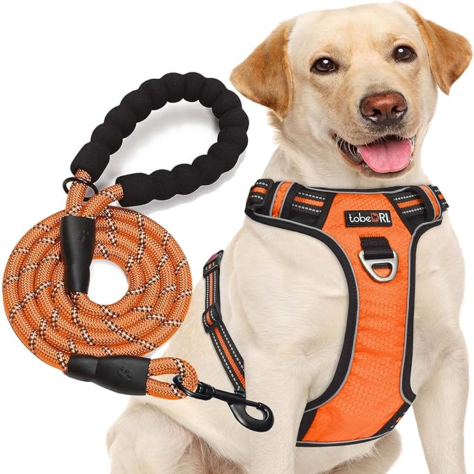 No Pull Dog Harness Adjustable Reflective Oxford Easy Control Medium Large Dog Harness with A Free Heavy Duty 5ft Dog Leash (S (Chest: 17.5"-21"), Orange Harness+Leash)