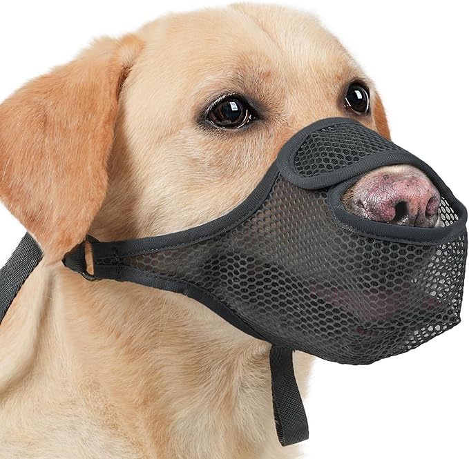 LUCKYPAW Dog Muzzle for Large Medium Small Dogs, Patented Mesh Muzzle to Prevent Biting Chewing Eating, Soft Mouth Guard with Front Opening Design for Drinking Panting(Black, XL)