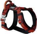 MADE TO ROAM Premium Explorer Harness - Y-Shaped Dog Harness with Adjustable Durable Nylon, Soft Padding, Metal Buckles and Leather Handle for Small, Medium, Large Dogs (Texas Flair, Size 7)