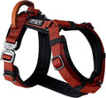 MADE TO ROAM Premium Explorer Harness - Y-Shaped Dog Harness with Adjustable Durable Nylon, Soft Padding, Metal Buckles and Leather Handle for Small, Medium, Large Dogs (Texas Flair, Size 3)