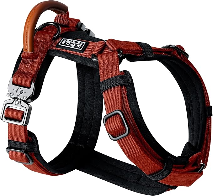MADE TO ROAM Premium Explorer Harness - Y-Shaped Dog Harness with Adjustable Durable Nylon, Soft Padding, Metal Buckles and Leather Handle for Small, Medium, Large Dogs (Texas Flair, Size 5)
