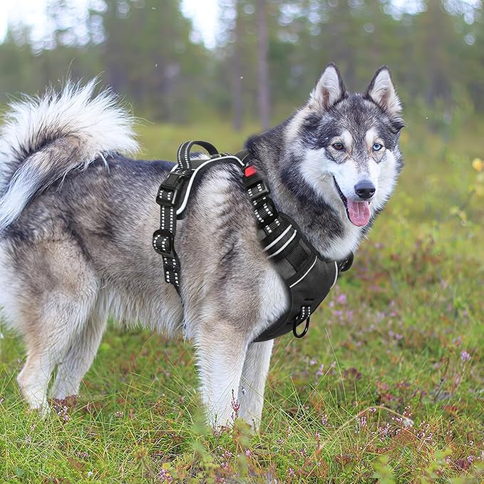 Timos Dog Harness, No-Pull Pet Harness with 2 Leash Clips, 3 Snap Buckles Adjustable Soft Padded Dog Vest, Reflective No-Choke Pet Oxford Vest with Easy Control Handle for Small Medium Large Dogs