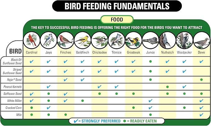 Wagner's 62053 Nyjer Seed Wild Bird Food, 20-Pound Bag