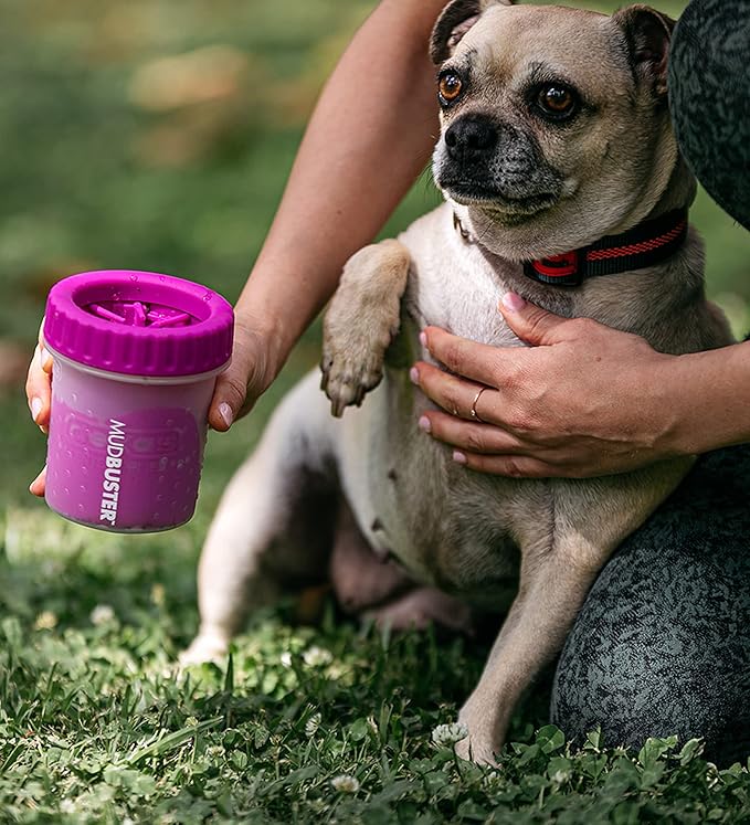 Dexas MudBuster Portable Dog Paw Cleaner, Small, Fuchsia - Premium Quality Pet Accessory