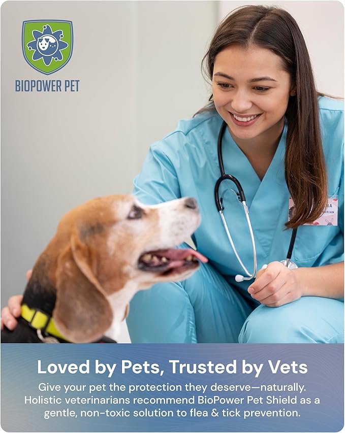 Natural Flea & Tick Repellent Collar Tag for Dogs & Cats – BioPower Pet Shield – Safe for Pets When Used as Directed – Lasts 1 Full Year (Small Tag (<10 Lbs), 2, Count)
