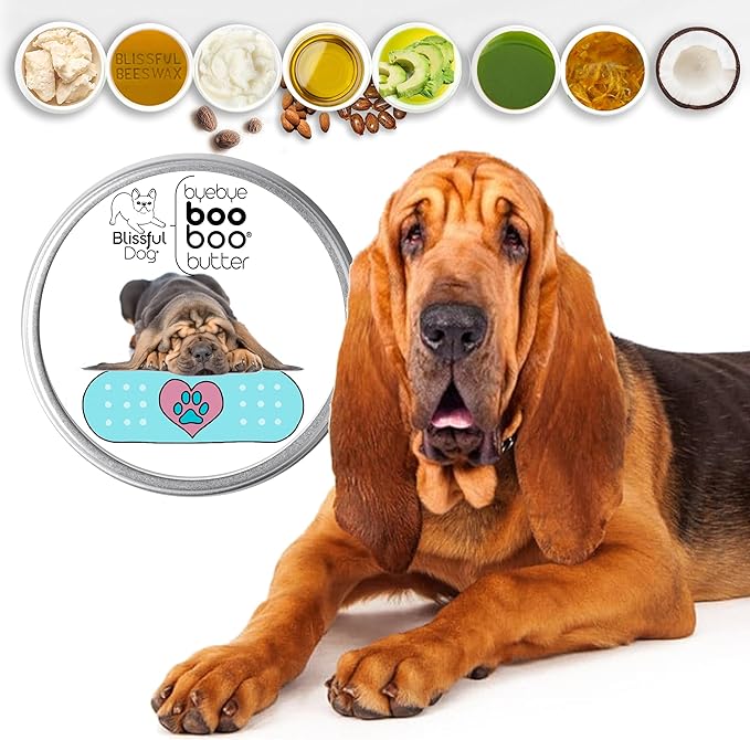 The Blissful Dog 4 oz TIN Bloodhound Booboo Butter