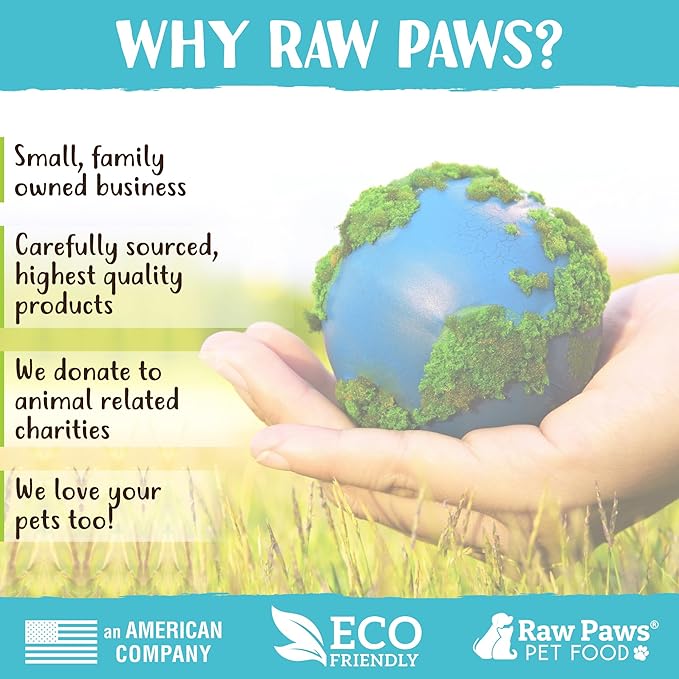 Raw Paws Standard Bully Sticks for Small Dogs, 6-Inch (10 Count) - Low Odor Junior Bully Chews - Free-Range Pizzle Sticks for Dogs - Single Ingredient Dog Chews - Rawhide Alternative - Long Lasting