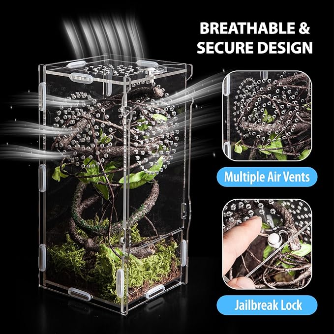 Jumping Spider Enclosure, Acrylic Praying Mantis Habitat, 8"*4"*4" Insect Terrarium, Small Reptile Cage Accessories with Secure Lock for Arboreal Tarantula, Snails, Bug, Lizard