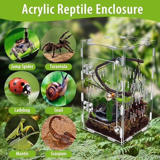 Jumping Spider Enclosure, Large Acrylic Praying Mantis Habitat, 10"*6"*6" Ventilated Insect Terrarium Cage with Front Opening Door for Small Retiles - Arboreal Tarantula, Snails, Bug, Lizard
