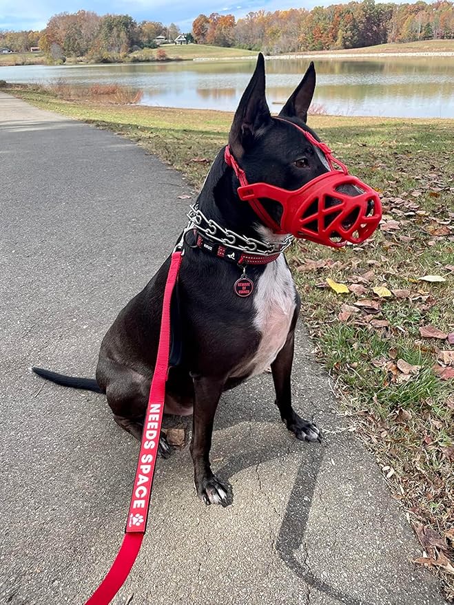 Mayerzon Dog Muzzle, Breathable Basket Muzzles for Small, Medium, Large and X-Large Aggressive Dogs Beagle German Shepherd Doberman, Cage Mouth Guard Stop Biting Chewing for Grooming Training