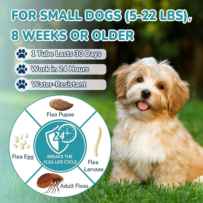 Flea and Tick Prevention for Small Dogs, 6-Month Supply Dog Flea and Tick Treatment Drops, Topical Fast-Acting Dog Flea Treatment for Small Dogs Up to 5 to 22 lbs