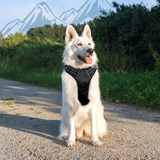 Eagloo Dog Harness for Large Dogs, No Pull Service Vest with Reflective Strips and Control Handle, Adjustable and Comfortable for Walking, No Choke Pet Harness with 2 Metal Rings, Black, XL