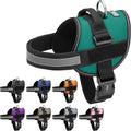 Dogline Dog Harness, Reflective No-Pull Adjustable Vest with Handle for Walking, Training, Breathable, No - Choke Harness for Small, Medium or Large Dogs Room for Patches Girth 27 to 34 in Turquoise