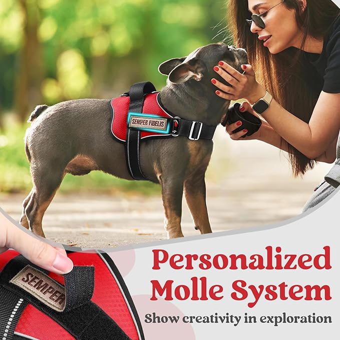 rabbitgoo Dog Harness for Large, Easy On Pet Vest with One Buckle, No Pull Adjustable Service Harness with D-Ring & Handle, Reflective for Safety Walking, Training, Red, XL
